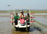 Luas Sawah Capai 84.570 Hektare, Pusakajaya Jadi Daerah Andalan Subang Penyangga Pangan Nasional