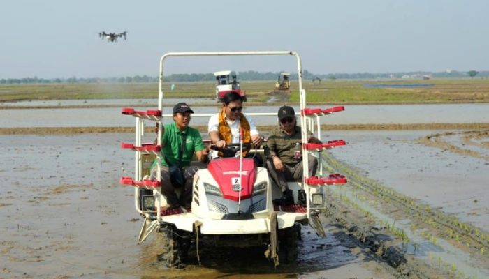 Luas Sawah Capai 84.570 Hektare, Pusakajaya Jadi Daerah Andalan Subang Penyangga Pangan Nasional