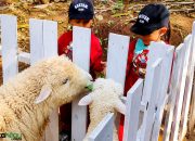 Mini Zoo Eco Wisata Cimahi Makin Hits, Cocok untuk Liburan Akhir Pekan