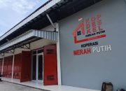 Panselnas Resmi Cabut Aturan Penalti Rp100 Juta pada Seleksi SDM Koperasi Merah Putih