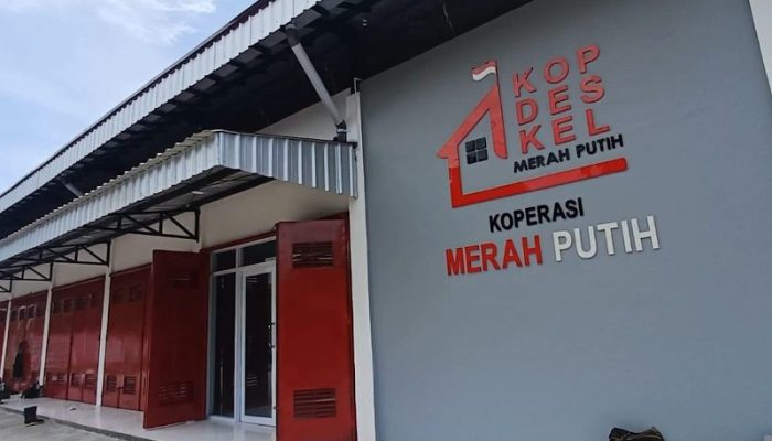 Panselnas Resmi Cabut Aturan Penalti Rp100 Juta pada Seleksi SDM Koperasi Merah Putih