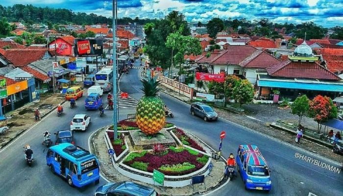 Dirut PT BMN Tegaskan Ikon Nanas Jalancagak Subang Tetap Terjaga Meski Ada Program Pembibitan Tebu