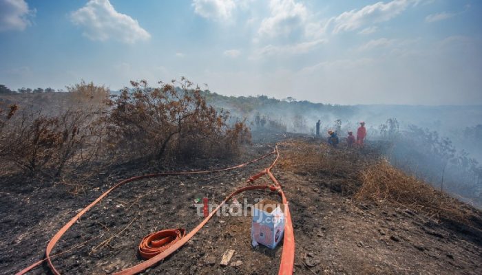 Kebakaran Eks TPA Panembong Diduga Jadi Sumber Asap yang Selimuti Subang