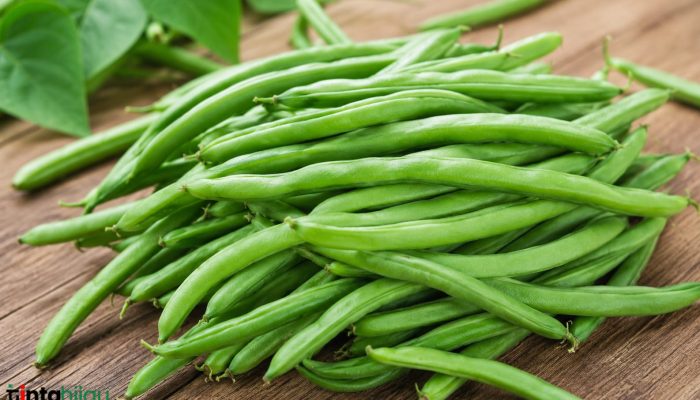 Sayur Buncis Punya Banyak Manfaat, Ini Khasiatnya bagi Kesehatan