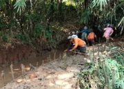 260 Hektare Sawah di Sumurgintung Terancam Gagal Panen, Kades Minta Pemkab Subang Segera Turun Tangan