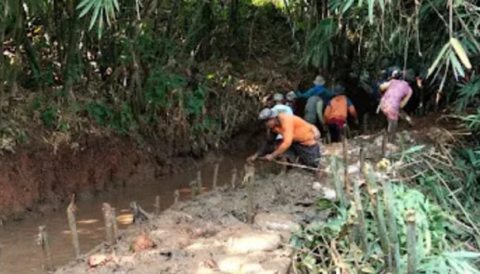 260 Hektare Sawah di Sumurgintung Terancam Gagal Panen, Kades Minta Pemkab Subang Segera Turun Tangan