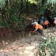 260 Hektare Sawah di Sumurgintung Terancam Gagal Panen, Kades Minta Pemkab Subang Segera Turun Tangan